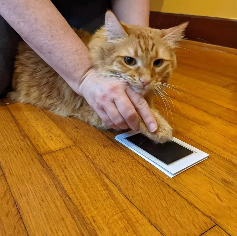 Furever Paws™ - Pet Keepsake