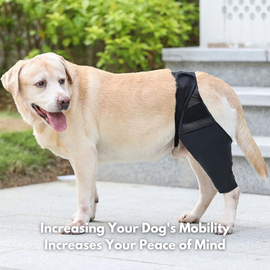 FlexiPup™ | Adjustable Dog Knee Brace