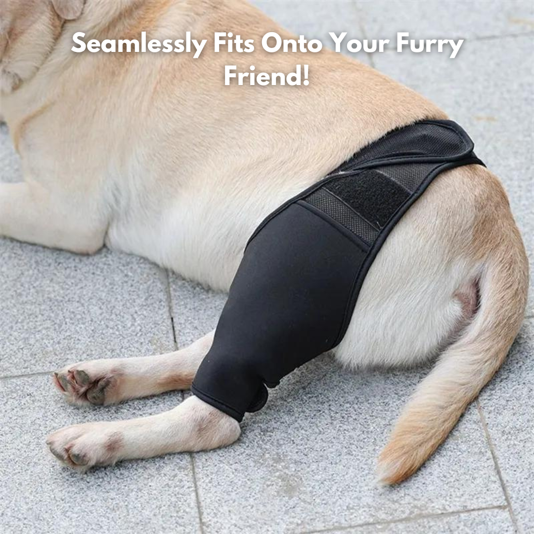 FlexiPup™ | Adjustable Dog Knee Brace
