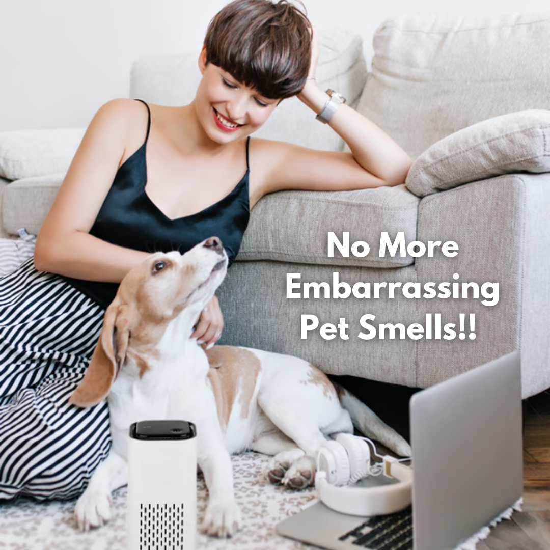 Revitaire™ | Pet HEPA Air Purifier