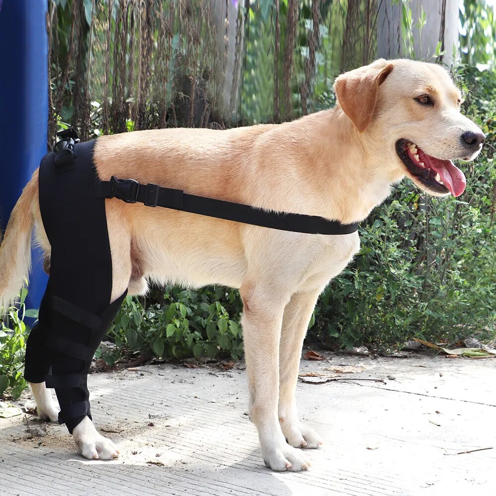 FlexiPup™ | Adjustable Dog Knee Brace