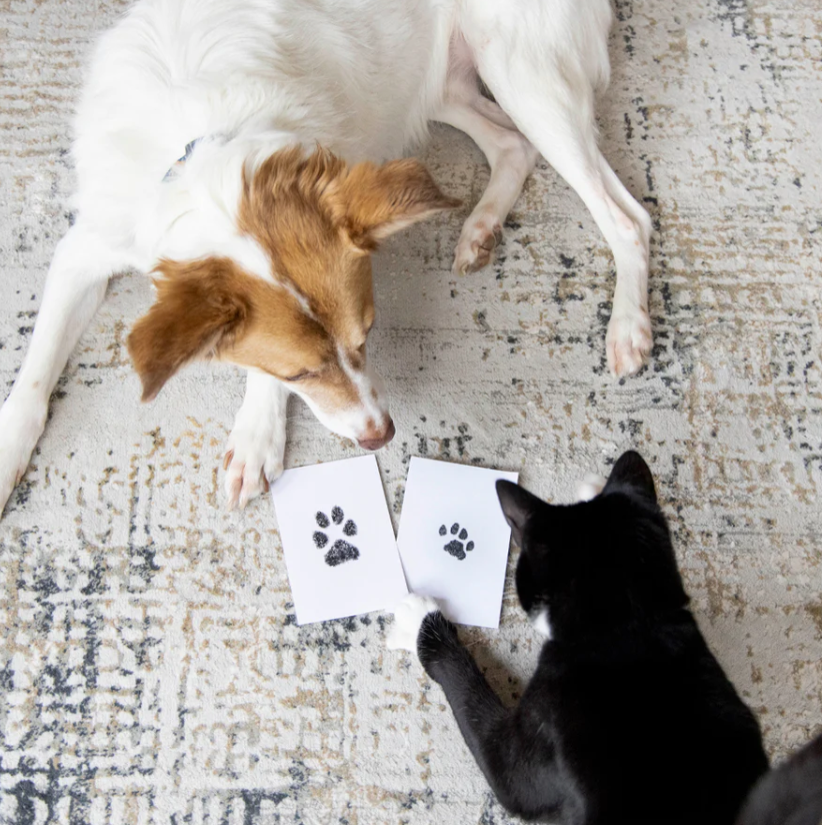 Furever Paws™ - Pet Keepsake