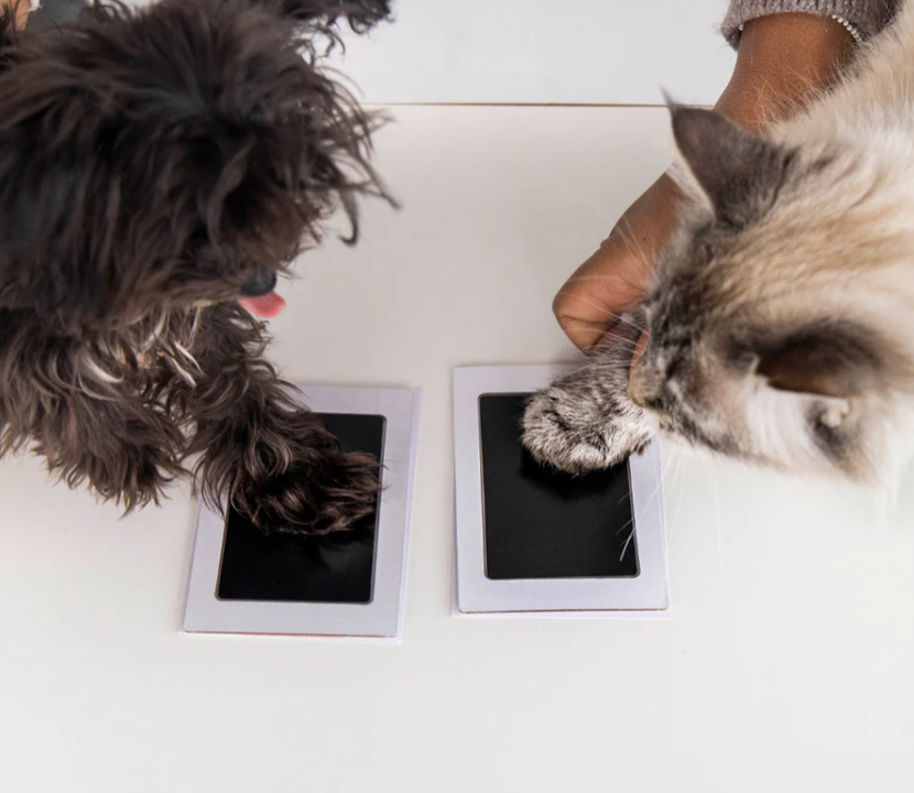 Furever Paws™ - Pet Keepsake
