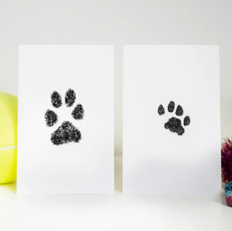 Furever Paws™ - Pet Keepsake