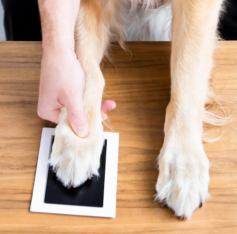 Furever Paws™ - Pet Keepsake