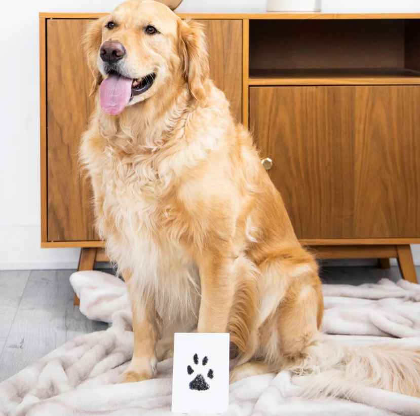 Furever Paws™ - Pet Keepsake