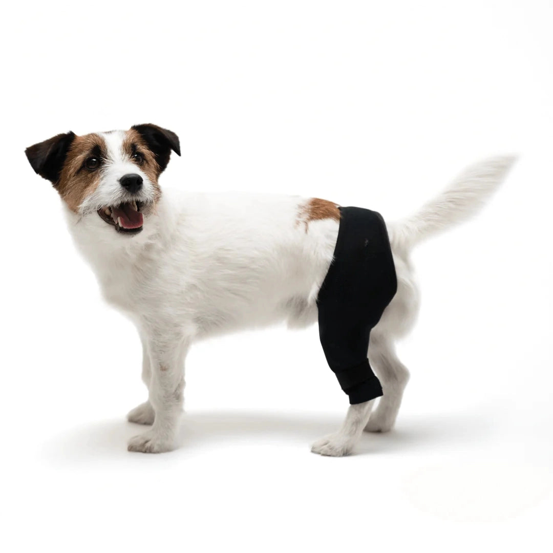 FlexiPup™ | Adjustable Dog Knee Brace