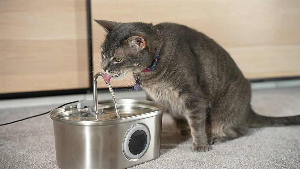 PurrFlow™ - Moving Water Fountain