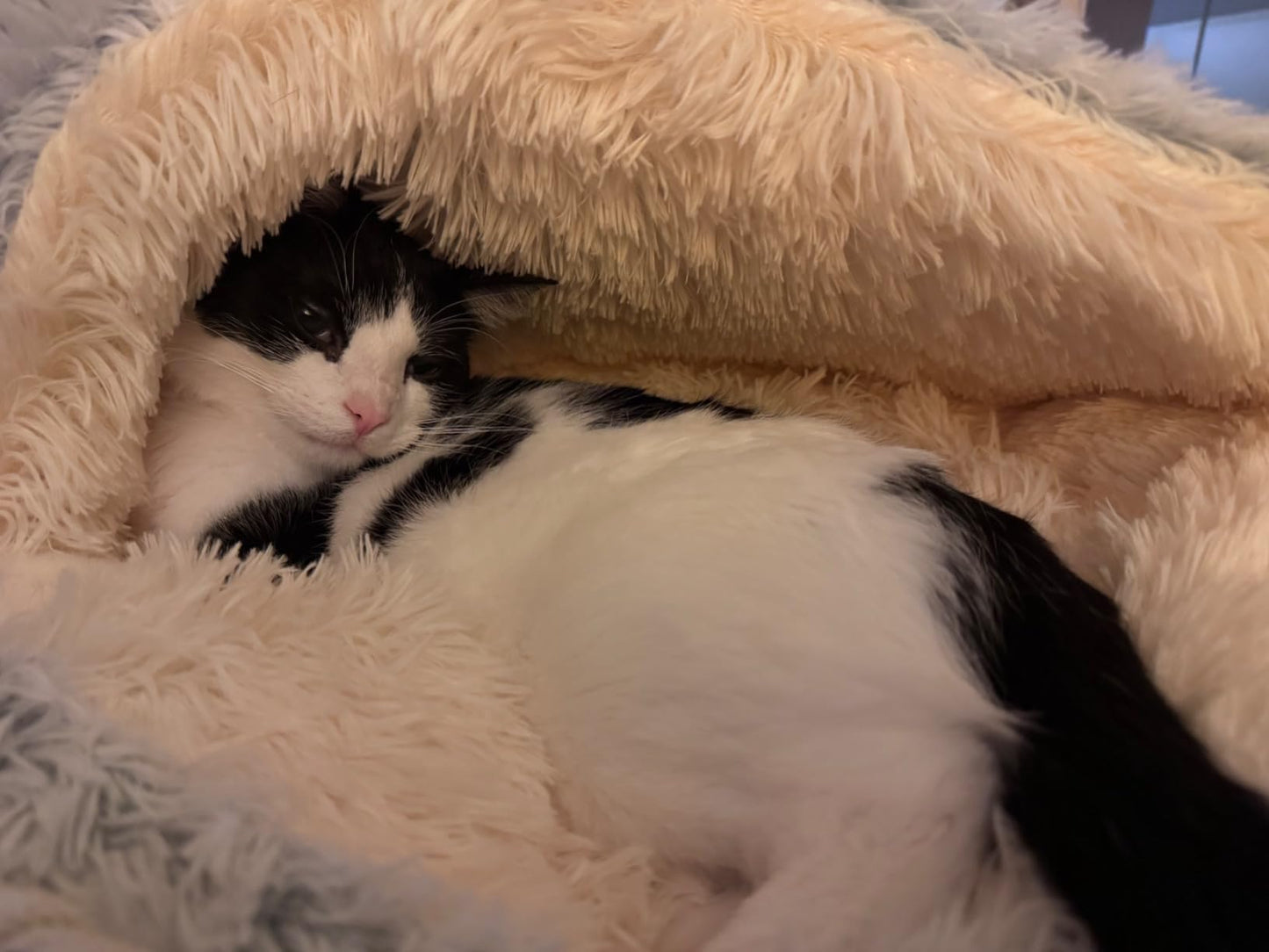 CalmiCave™ | Cat Bed