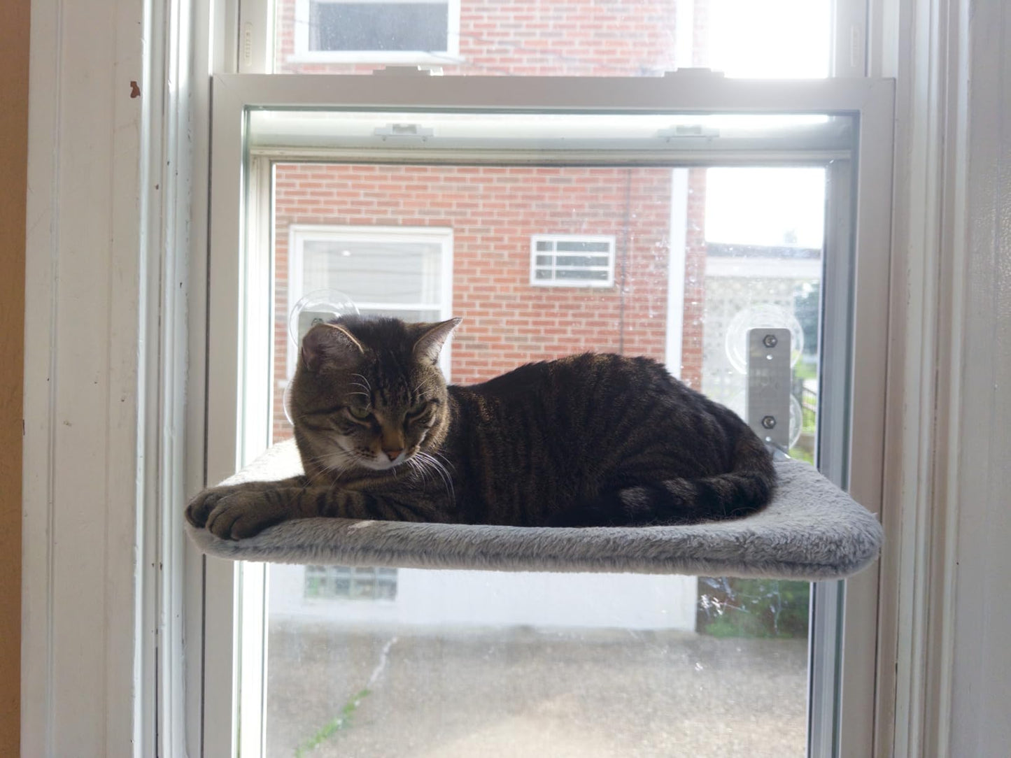 Purrch™ | Cat Window Hammock