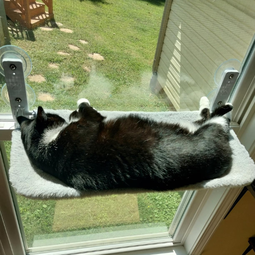 Purrch™ | Cat Window Hammock