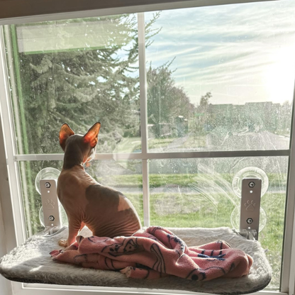 Purrch™ | Cat Window Hammock