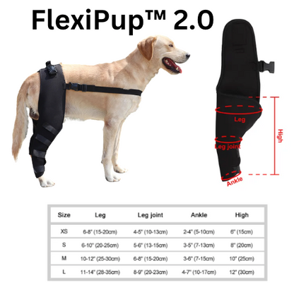 FlexiPup™ | Adjustable Dog Knee Brace