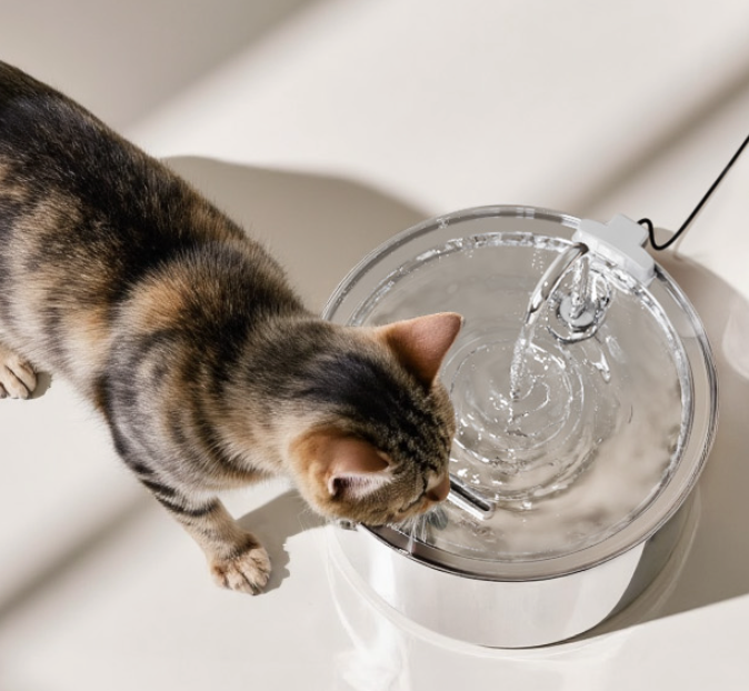 PurrFlow™ - Moving Water Fountain