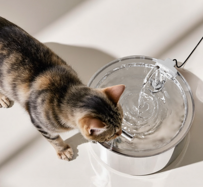 PurrFlow™ - Moving Water Fountain