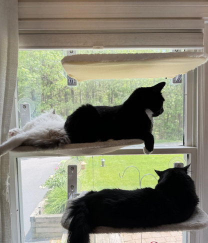 Purrch™ | Cat Window Hammock