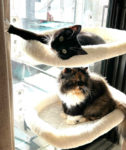 Purrch™ | Cat Window Hammock