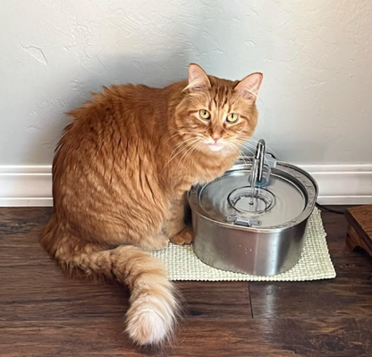 PurrFlow™ - Moving Water Fountain