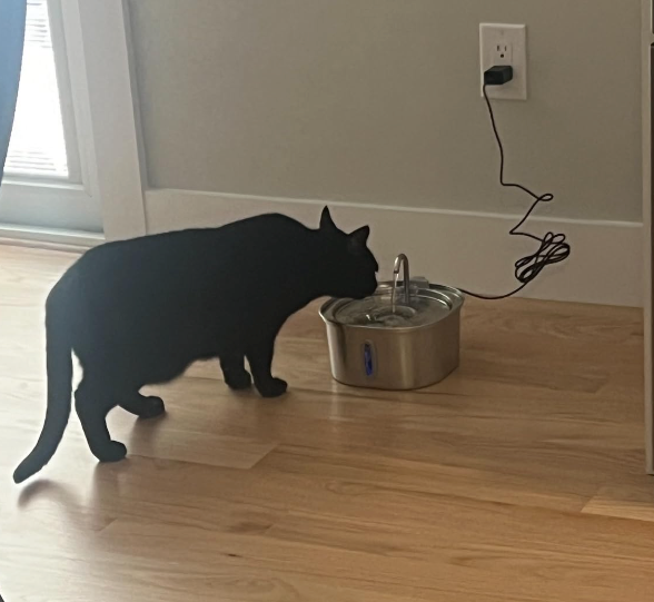 PurrFlow™ - Moving Water Fountain