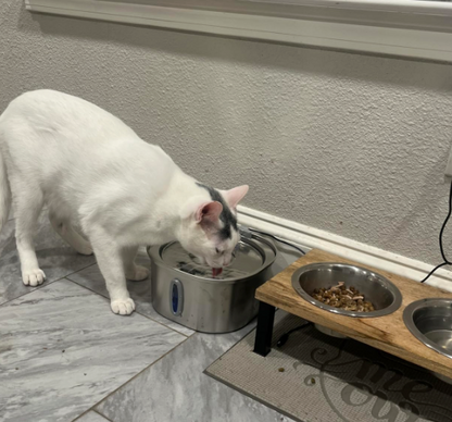 PurrFlow™ - Moving Water Fountain