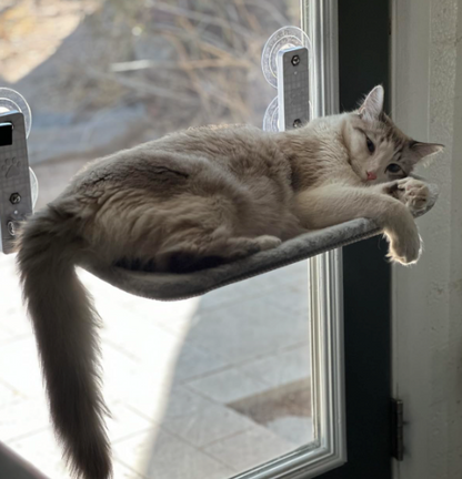 Purrch™ | Cat Window Hammock