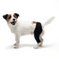 FlexiPup™ | Adjustable Dog Knee Brace