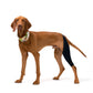 FlexiPup™ | Adjustable Dog Knee Brace