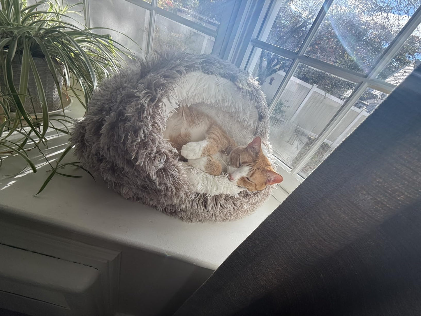 CalmiCave™ | Cat Bed